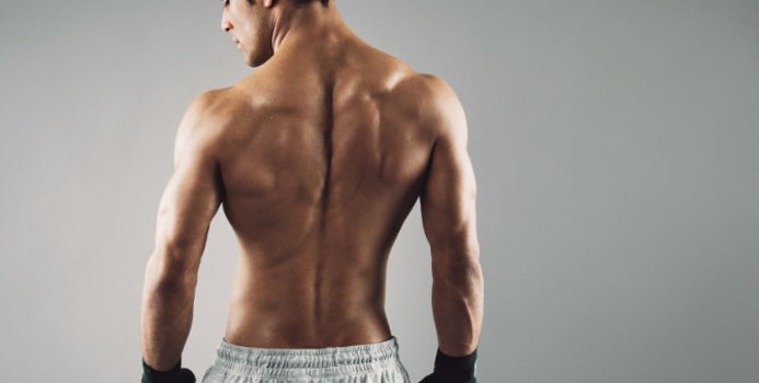 Read more about the article Lower Back Muscles Exercises